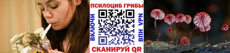 Псилоцибиновые грибы ЛСД Бежецк